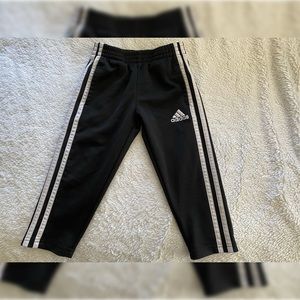 Adidas Toddler Tricot Track Pants